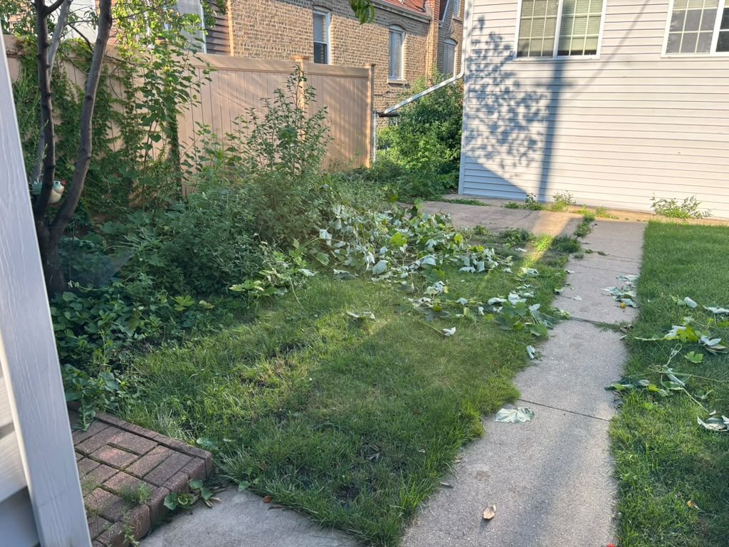 Backyard walkway build, stage 3 of 12 — Chicago, IL
