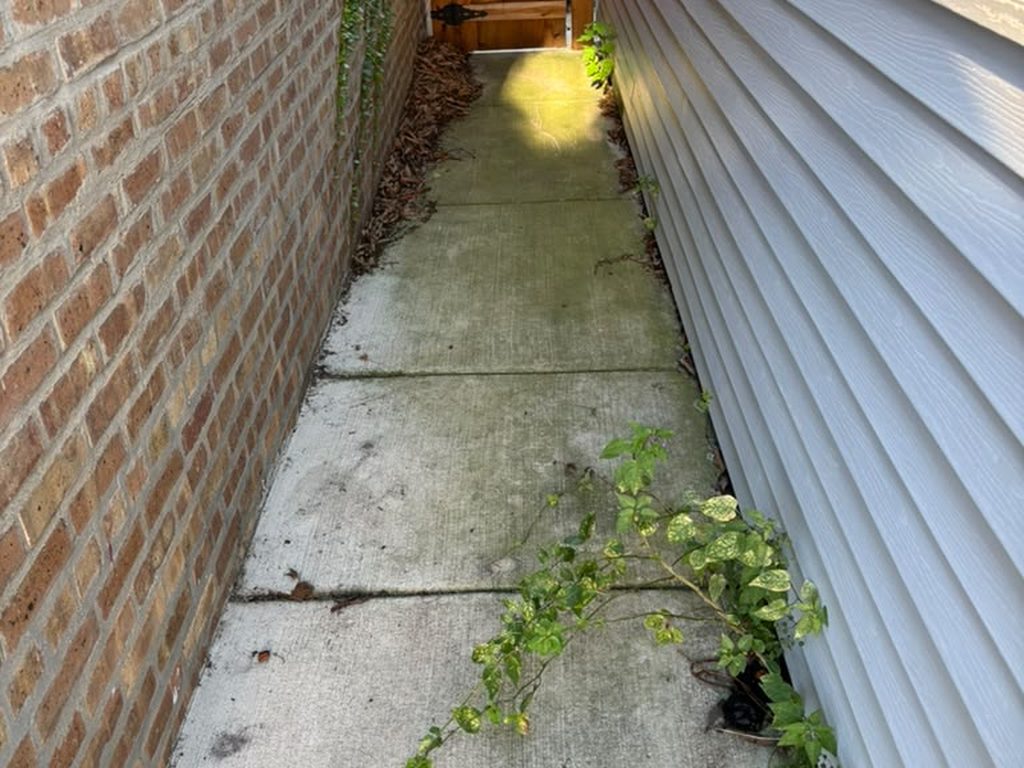Cracked side walkway with weeds before replacement — Chicago, IL