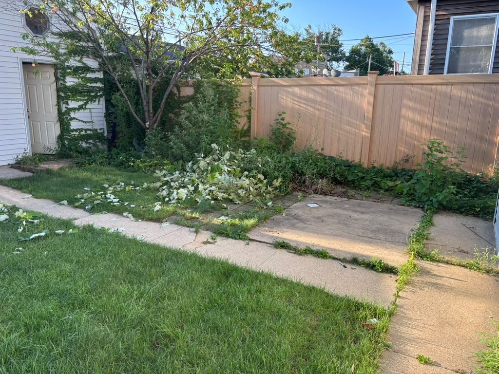 Overgrown backyard before the stamped concrete patio — Chicago, IL